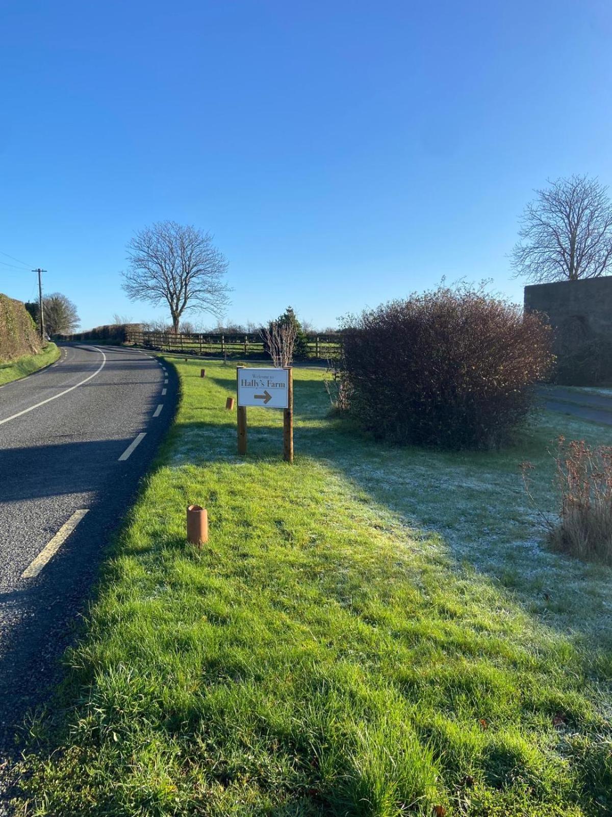 Hally'S Farm Kilkenny Extérieur photo